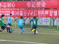 国米VS帕尔马直播