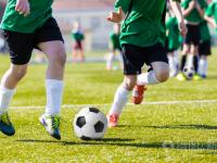 狼队VS桑德兰直播