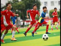 尼斯VS朗斯直播
