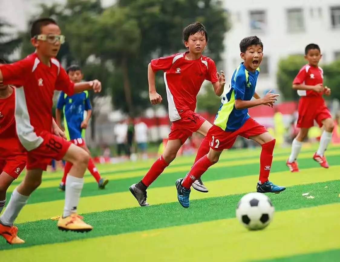 法兰克福VS汉堡直播1.21周五赛事预测：汉堡VS圣保利+法兰克福VS比勒菲尔德
